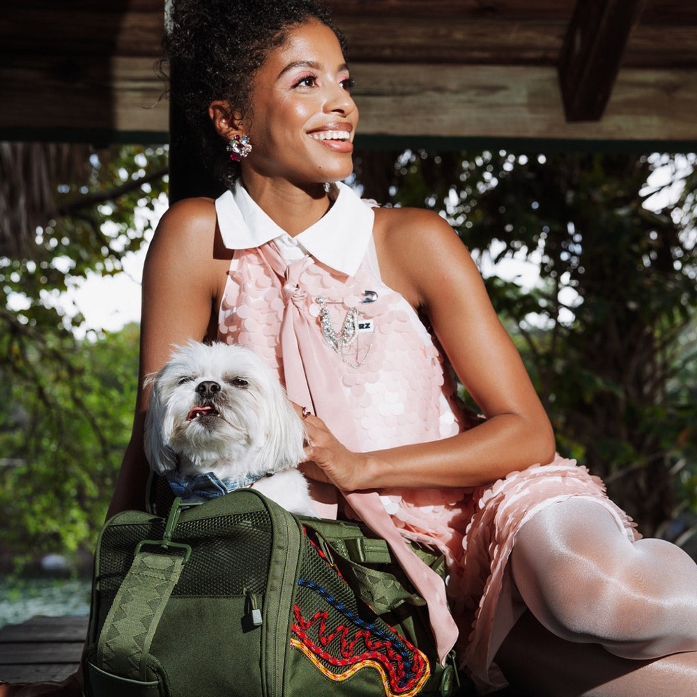 Authentic Sprayground WON'T STOP TILL THE TOP PET CARRIER NWT - Picture 8 of 12